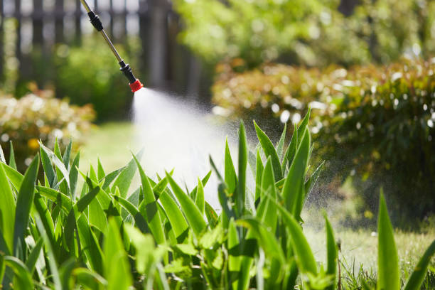 24/7 Emergency Mosquito Control experts in McRae-Helena, GA
