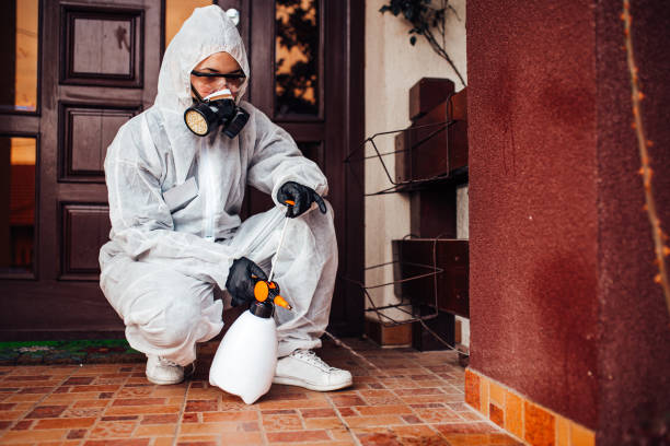 Reliable Mosquito Control contractor in McRae-Helena, GA by Show Me Pest Control